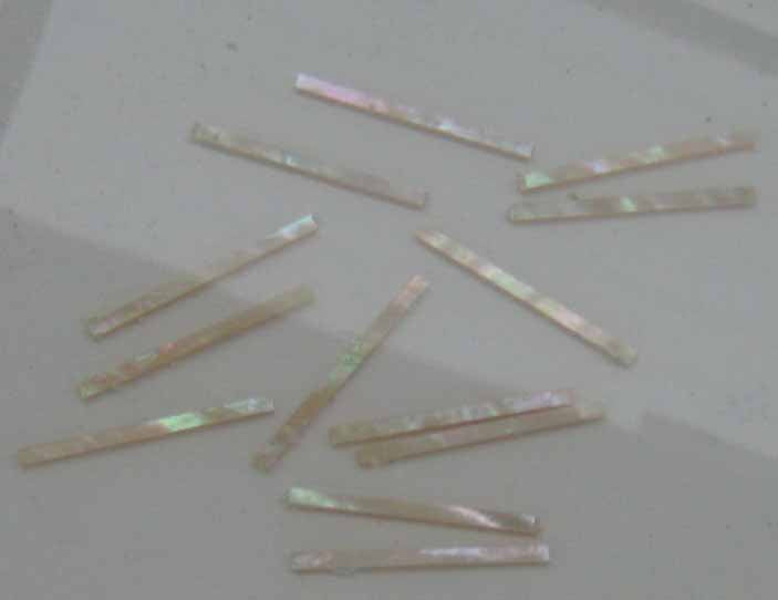 Awabi solid shell straight strips 3.17mm (0.125") width x 25mm (1") length x 1.3mm (0.05") thickness
