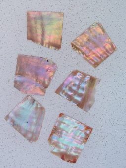 Awabi flat inlay blanks mix size 1.3mm (0.05") thickness irregular shape A grade. Sold by oz - approx. 8 - 12pcs per oz size 15-40mm x 20-50mm