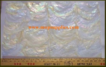 Agoya (Akoya) veneer also called Agoya (Akoya) sheet or Agoya (Akoya) shell paper. Made from thin slices of genuine shell. Standard sheet size 140mm (5.51") width x 240mm (9.45") length x 0.15mm (0.006") thickness. Suitable for signwriting, fishing lures, jewellery, architectural application, furniture and many other applications.