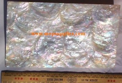 Agoya Laminated shell sheets are made from genuine shell. Each sheet has shell throughout consisting of layers of smaller shell pcs. Sheet size 235 x 135mm - 9.25 x 5.3inches. Thickness 0.5mm (0.02 inch) Ideal for inlay work, jewellery, knife handles. Economical and easy to cut.