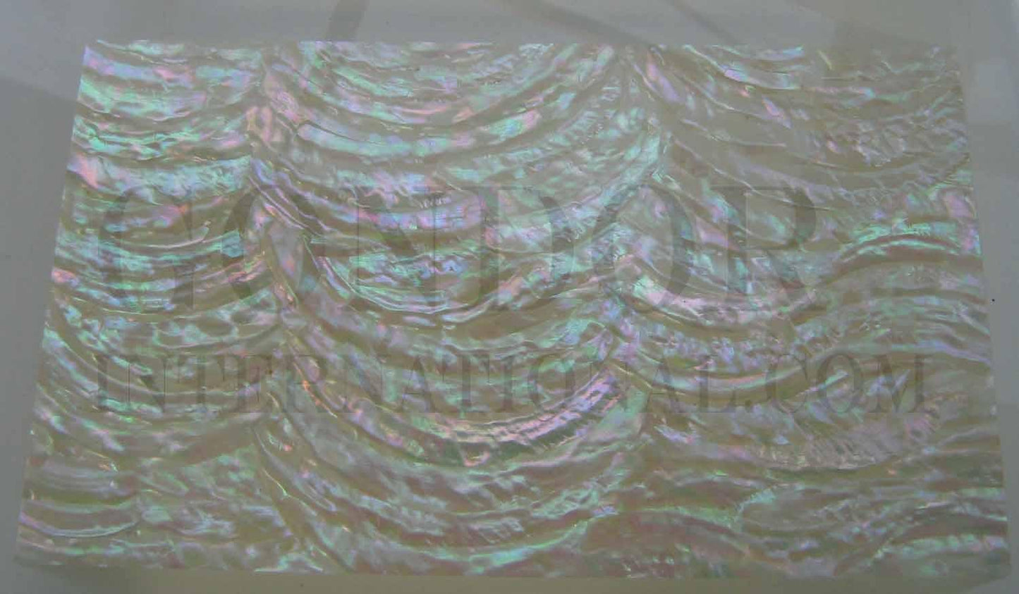 Green Turban (Green snail) arch veneer also called GreenTurban (Green snail) arch sheet or shell paper. Made from thin slices of genuine shell. Standard sheet size 140mm (5.51") width x 240mm (9.45") length x 0.15mm (0.006") thickness Suitable for signwriting, fishing lures, jewellery, architectural application, furniture