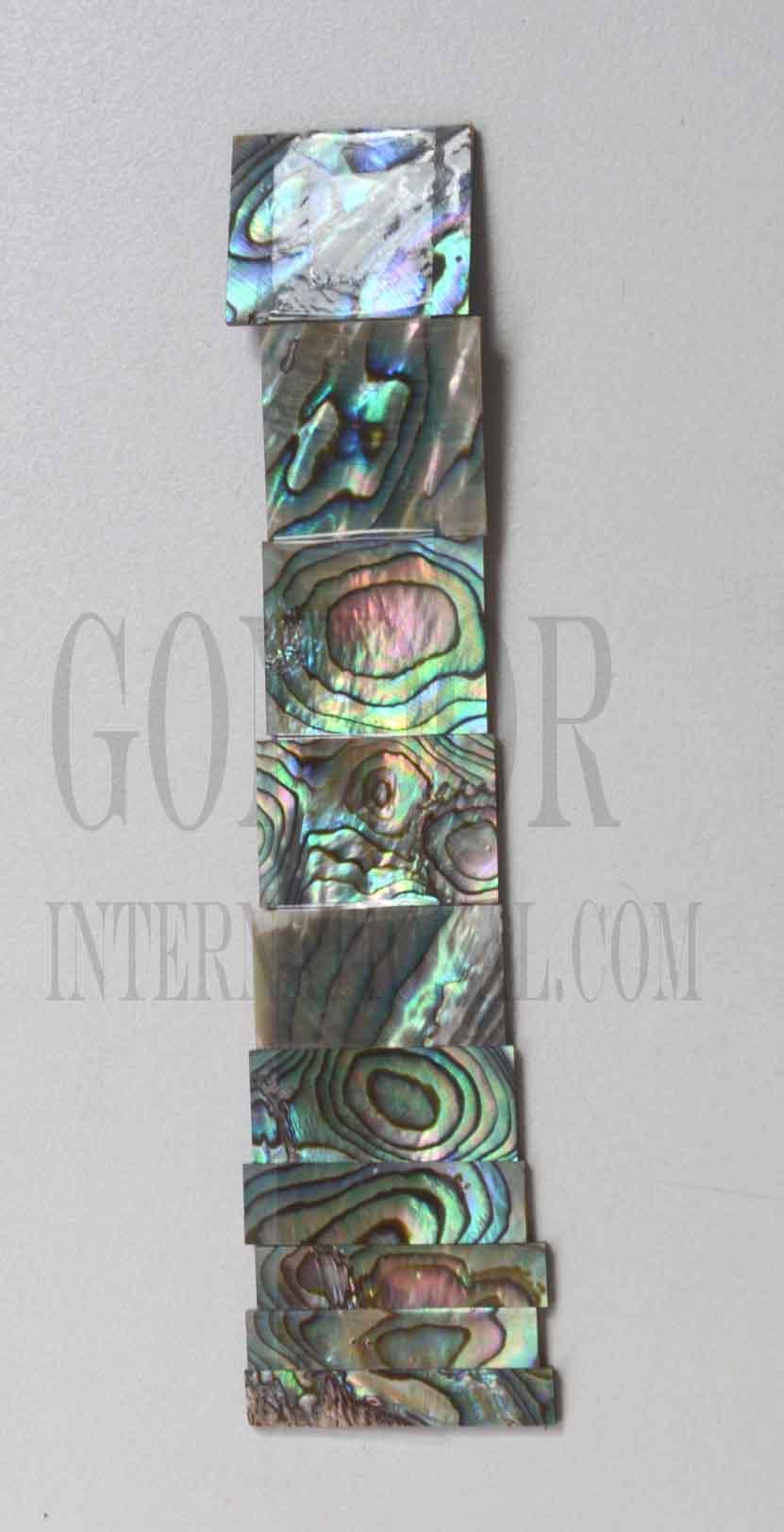 <p>A set of 10pcs Paua abalone block inlays. Suitable for Les Paul or SG style guitars. Shell thickness 1.5mm. Flat and ready to be installed.</p>
