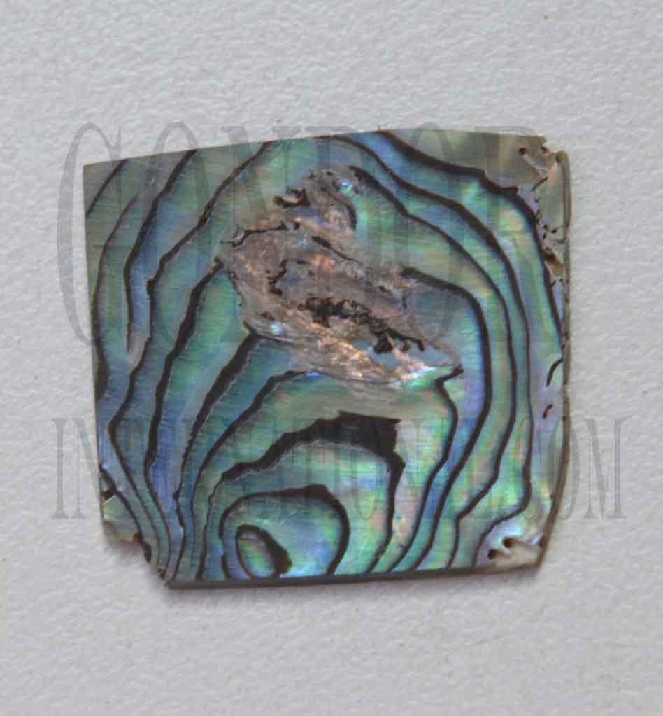 Paua abalone (New Zealand Paua shell) flat inlay blanks size 25 - 30mm (1 - 1.18") width x 25 - 30mm (1 - 1.18") length x 1mm (0.04") thickness A grade good on at least 1 side may have some worm damage or shell skin on edges of reverse side.