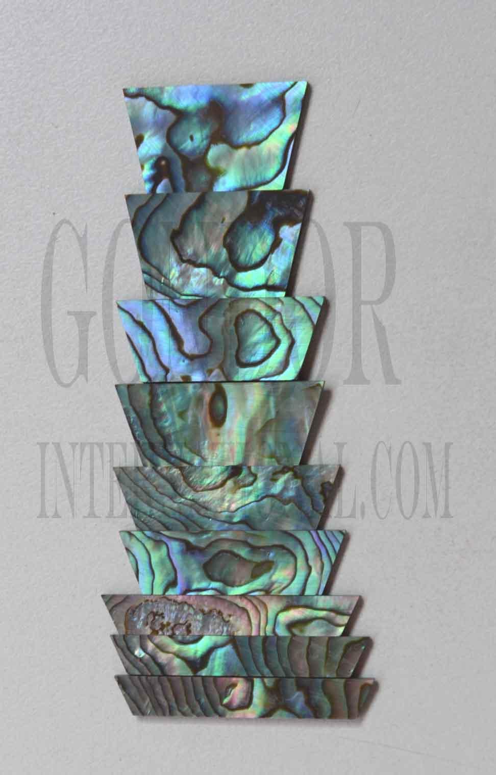 A set of 9pcs Paua abalone trapezoid inlays. Suitable for Les Paul or SG style guitars. Shell thickness 1.5mm. Flat and ready to be installed.