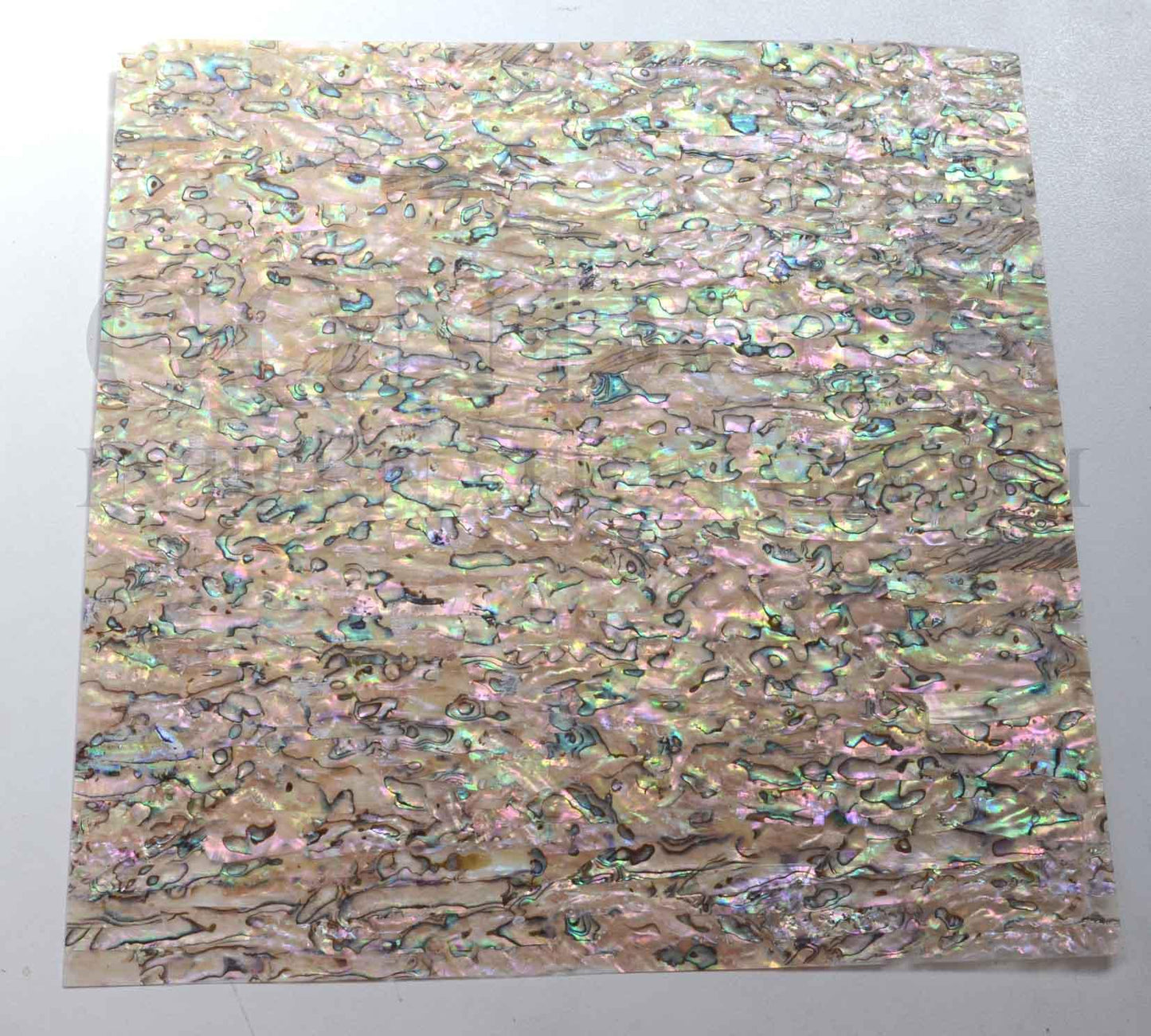 Paua A veneer also called Paua A sheet or Paua A shell paper. Made from thin slices of genuine shell. Sheet size 310mm (12.2") width x 310mm (12.2") length x 0.25mm (0.01") thickness Suitable for signwriting, fishing lures, jewellery, tiles, architectural application, furniture and many other applications.