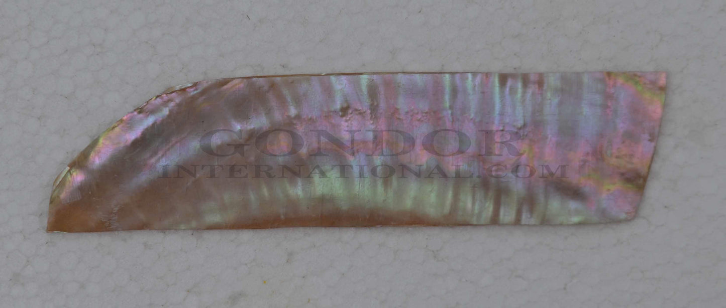 Awabi shell inlay feathers consist of single piece solid shell face layer 0.5mm thick laminated to shell laminate backing size 30mm width x 120-140mm length x .1.6mm total thickness (including 1.1mm laminated sheet backing). Suitable for inlays, marquetry. <br />