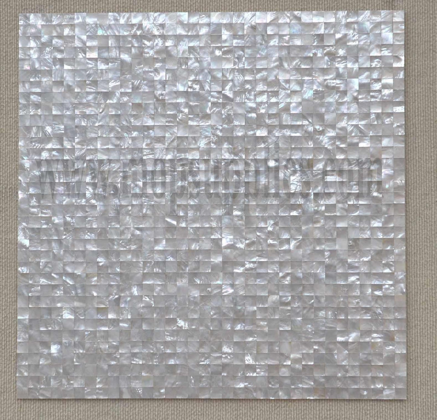 White Mother of Pearl tile on mesh backing size 500 x 500mm individual pcs 15 x 15mm solid shell polished pcs.