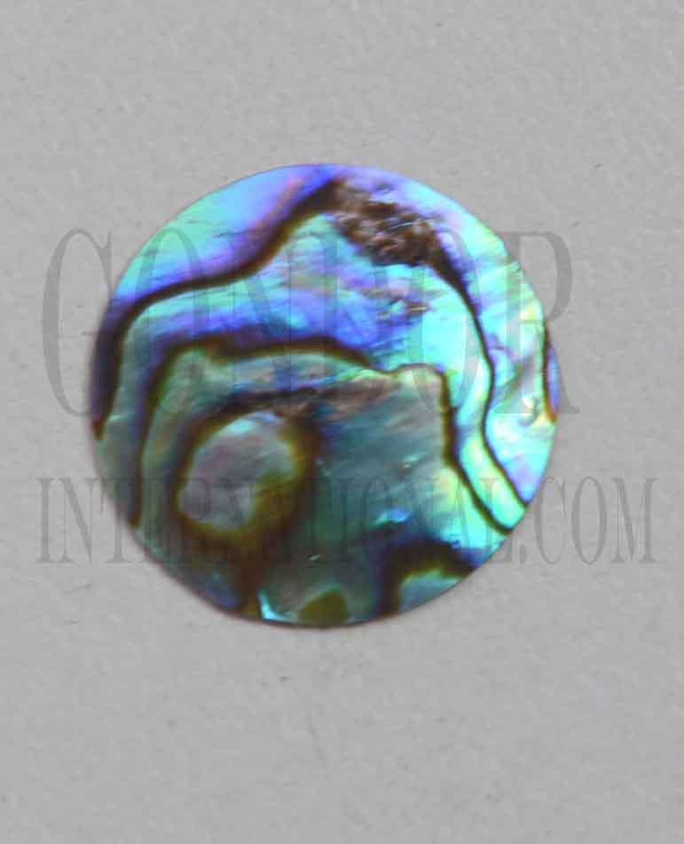 <p>Paua shell discs 25mm (0.984") diameter x 1mm (0.04") thickness polished 1 side. Round flat shell pcs cut to precise diameter and thickness. Ideal for use in inlay applications, watch dials or jewellery decorations. </p>