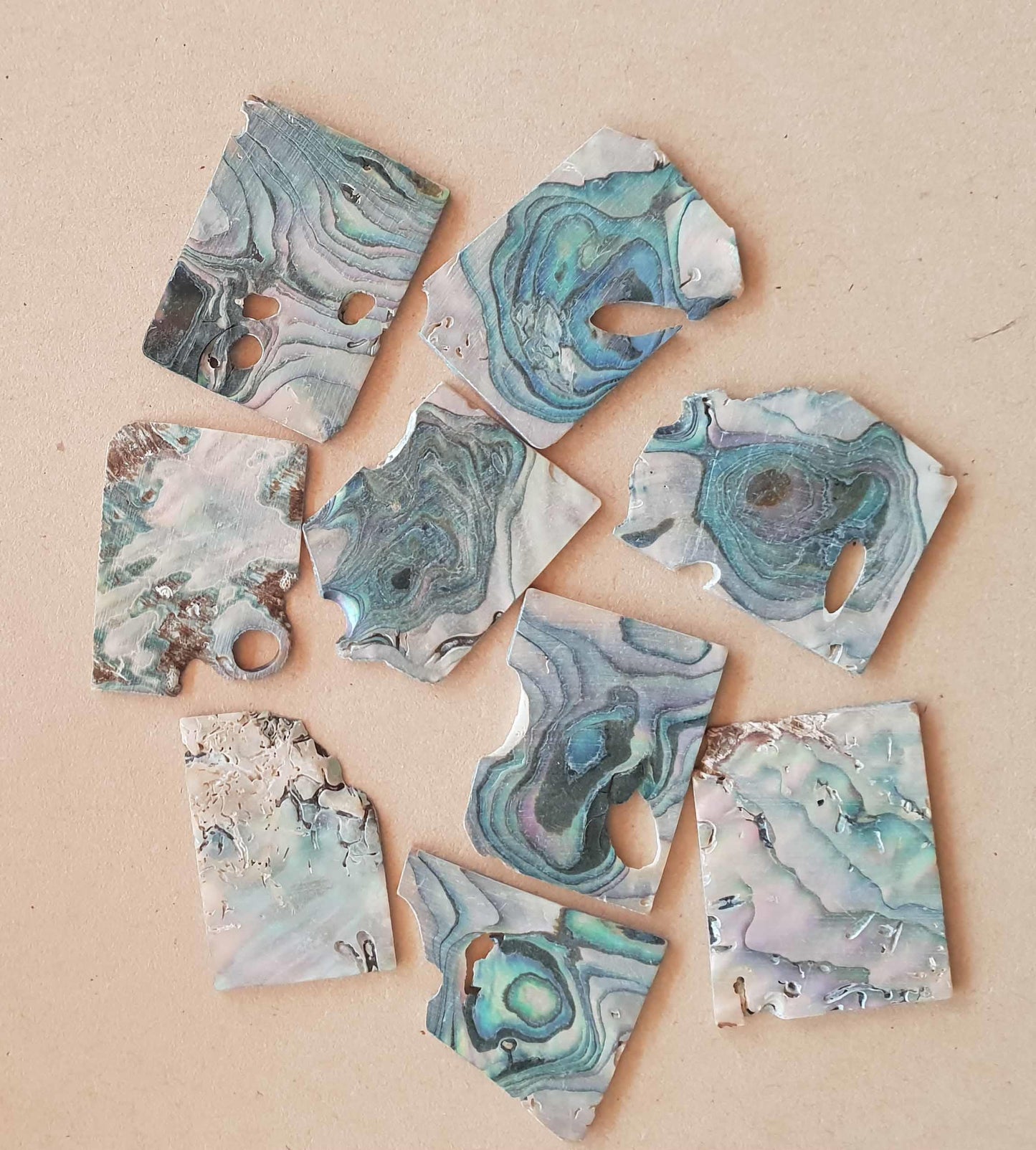 <p>Green abalone (Mexican green abalone) flat inlay blanks irregular shape B grade, mix size 20 - 30mm (0.79 - 1.18") width x 20 - 35mm (0.79 - 1.38") length x 1.5m (0.06") thickness B grade.</p>