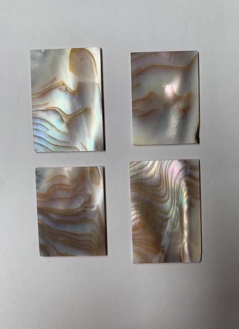 Brown mussel large size flat inlay blanks mix size 1.3mm (0.05") select thickness irregular shape A grade. Sold by oz - approx. 4 - 5pcs per oz size approx. 30mm+ x 40- 55mm