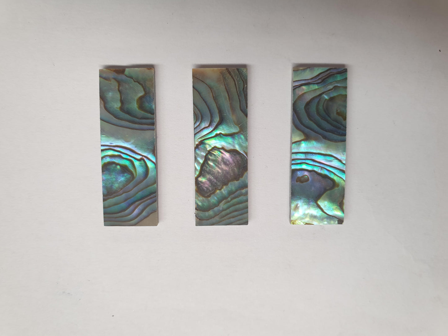 <p>Paua abalone (New Zealand Paua shell) flat inlay blanks size 12mm (0.47") width x 35mm (1.38") length x 2mm (0.08") thickness B grade good on at least 1 side may have some worm damage or shell skin on edges of reverse side.</p>