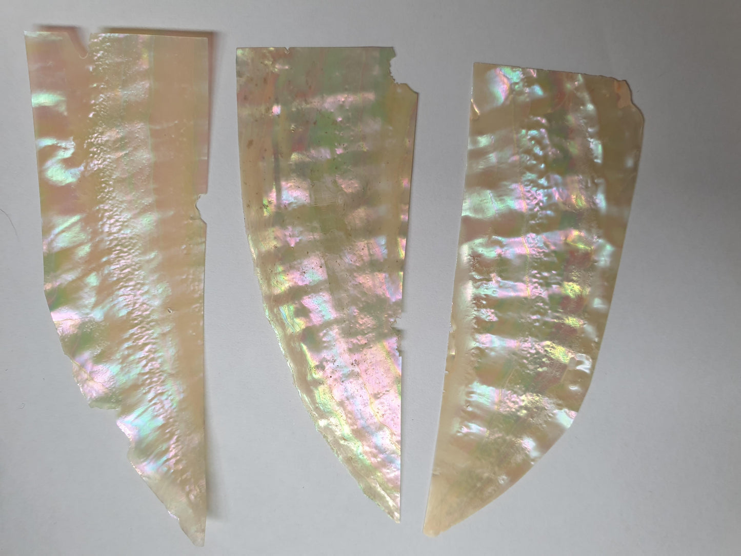 Awabi shell feathers 30mm (1.2") width x 60mm (2.36") length x 0.15mm (0.006") thickness - thinly sliced solid shell pcs. Cut along the curved part of shell they can yield larger pcs then standard solid shell blanks. Ideal for shallow inlay, overlay, fishing lure manufacture and other decorative purposes. Select quality A grade.