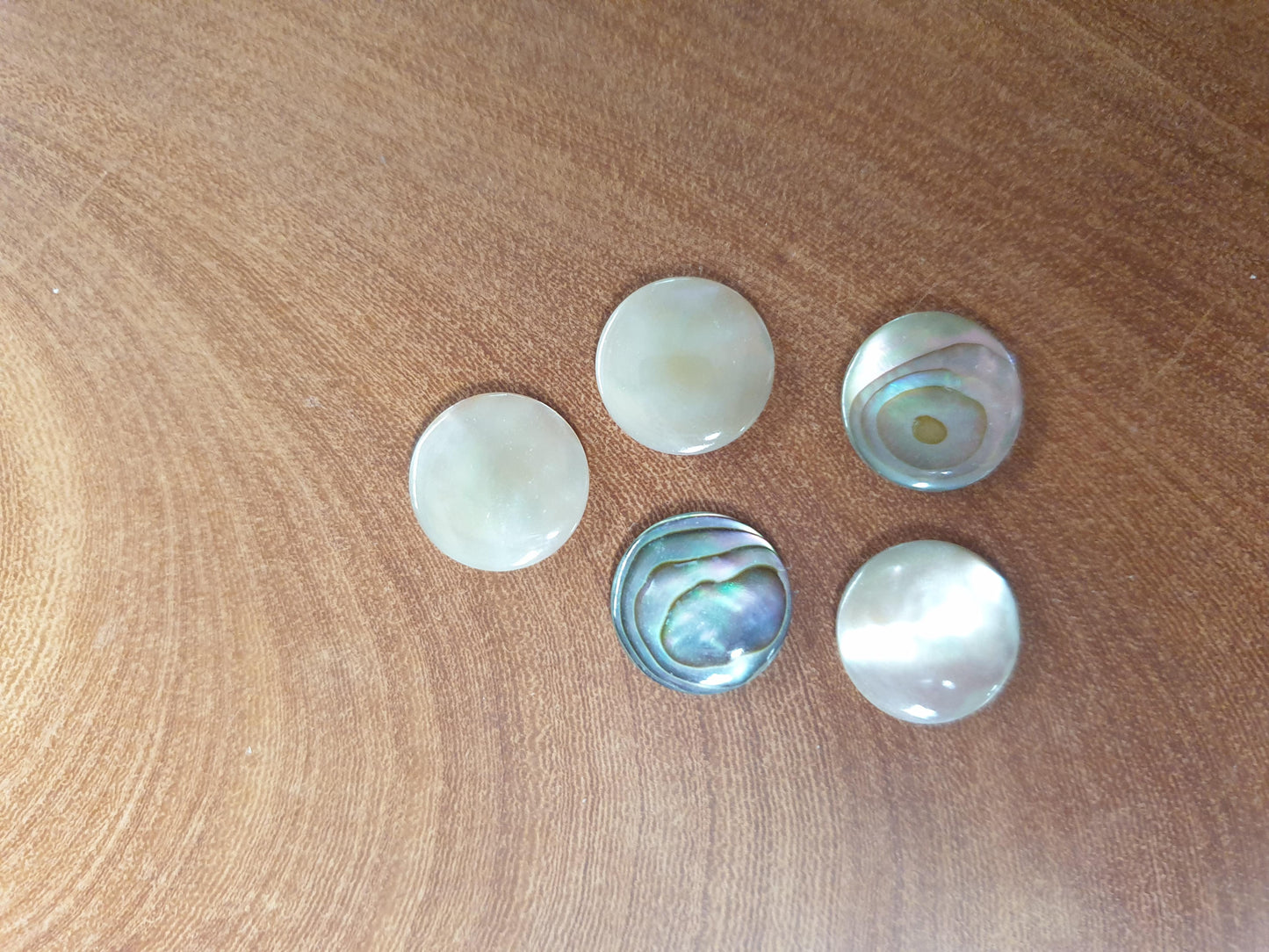 <p>Red abalone discs domed polished 1 side 15 x 2.5mm round domed shell pcs cut to precise diameter and thickness. Ideal for use in brass and woodwind instrument finger buttons or jewellery decorations. All dots are A grade good on both sides. </p>