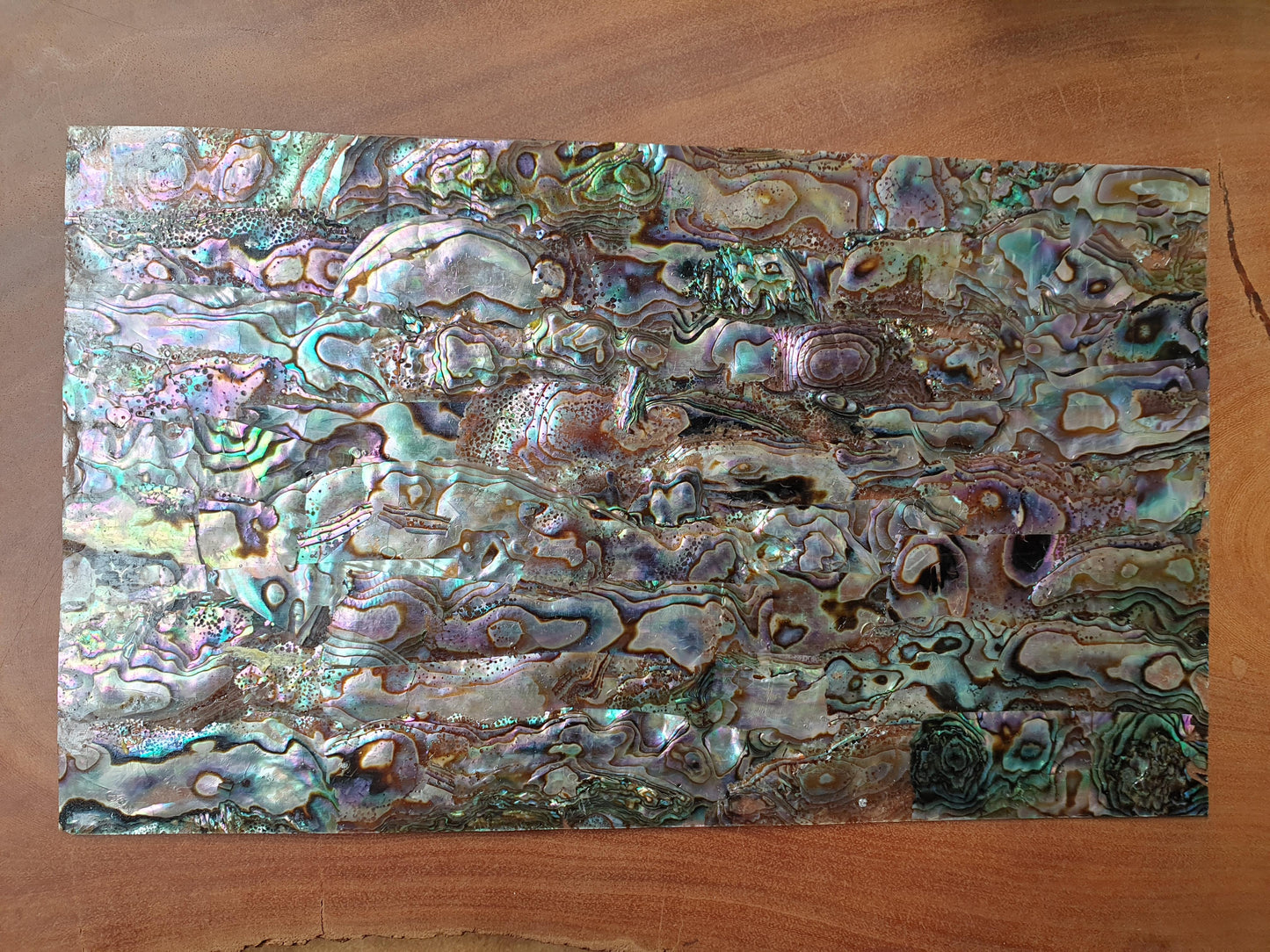 Green abalone shell veneer heart B grade also called Mexican green abalone sheet or Green abalone shell paper. Made from thin slices of genuine shell. Sheet size 240 x 140mm average thickness 0.5mm. Suitable for signwriting, marquetry, fishing lures, jewellery, architectural application, furniture and many other applications. Available with options - self adhesive backing, colour coating 1 side and a combination of colour coating and self adhesive.