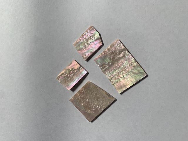 Australian Greenlip abalone flat inlay blanks mix size select figure 1.5mm (0.06") thickness irregular shape A grade. Sold by oz - approx. 7 - 12pcs per oz size 15-25mm x 20-30mm