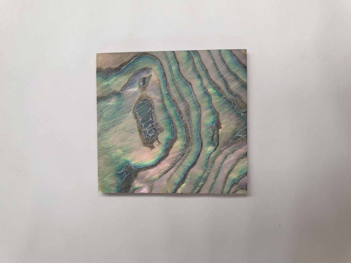 <p>Green abalone (Mexican green abalone) flat inlay blanks select pcs irregular shape, mix size 34mm (1.3") width x 36mm (1.41") length x 1.5m (0.06") thickness A grade.</p>