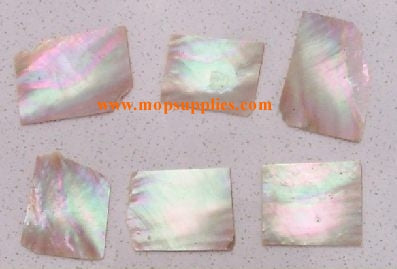 Australian Greenlip abalone flat inlay blanks mix size 1mm (0.04") thickness irregular shape A grade. Sold by oz - approx. 8 - 12pcs per oz size 15-25mm x 20-30mm