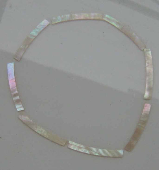 Australian Greenlip abalone solid shell curved strips 1.6mm (0.063") width x 25mm (1") length x 1.3mm (0.05") thickness x 120mm (4.72") inside diameter.