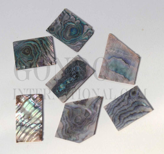 Green abalone (Mexican green abalone) flat inlay blanks irregular shape, mix size 15 - 30mm (0.59 - 1.18") width x 20 - 35mm (0.79 - 1.38") length x 1.3mm (0.05") thickness A grade.