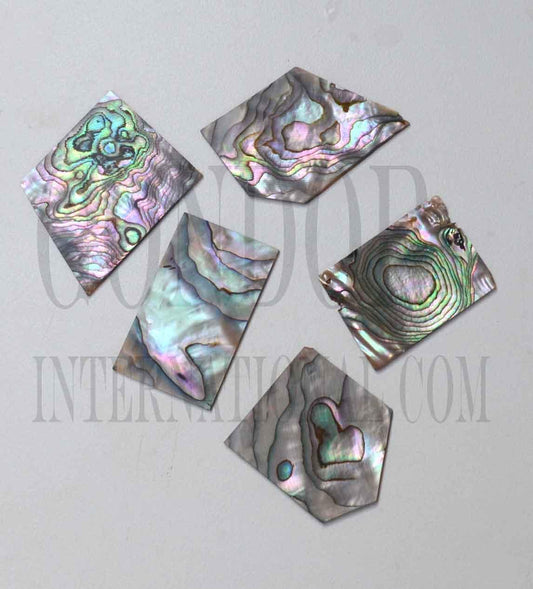 Green abalone (Mexican green abalone) flat inlay blanks selected pcs irregular shape, mix size 20 - 30mm (0.79 - 1.18") width x 20 - 35mm (0.79 - 1.38") length x 1.3mm (0.05") thickness A grade.