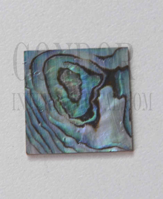 Paua abalone (New Zealand Paua shell) flat inlay blanks size 25mm (1") width x 25mm (1") length x 1.3mm (0.05") thickness A grade good on at least 1 side may have some worm damage or shell skin on edges of reverse side.