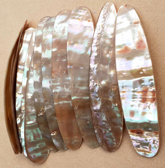 Awabi Shell Awabi shell (Haliotis gigantea) – Mother of Pearl Supplies