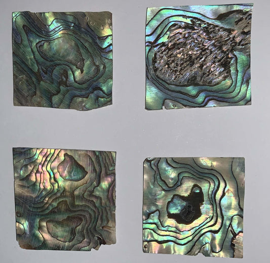 <p>Paua abalone (New Zealand Paua shell) flat inlay blanks size 25-30mm width x 25-30mm length x 1.3mm thickness B grade. Good on 1 side may have holes or shell skin on other side.</p>