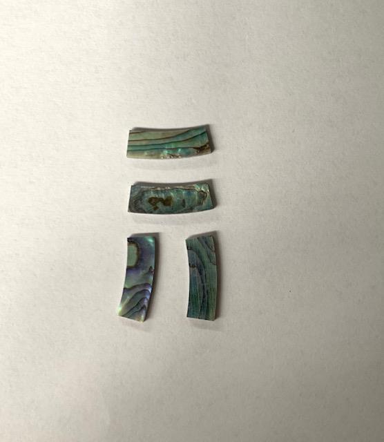 <p>Paua abalone solid shell curved strips 6.35mm (1/4") width x 20mm (0.787) length x 1.3mm (0.05") thickness x 115mm (4.53") inside diameter. A grade quality good on both sides, flat and uniform in thickness and width. Ideal for use in purfling and rosettes on musical instruments - Ukuleles, guitars, mandolins etc. as well as in furniture, jewellery and other decorative applications.</p>