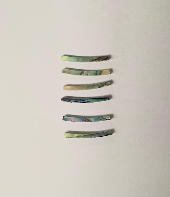 <p>Paua abalone solid shell curved strips 2mm (0.079") width x 24mm (0.9") length x 1.5mm (0.06") thickness x 115mm (4.5") inside diameter. A grade quality good on both sides, flat and uniform in thickness and width. Ideal for use in purfling and rosettes on musical instruments - Ukuleles, guitars, mandolins etc. as well as in furniture, jewellery and other decorative applications.</p>