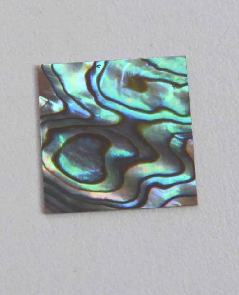 <p>Paua abalone (New Zealand Paua shell) flat inlay blanks polished on 1 side size 25mm (0.98") width x 25mm (0.98") length x 1mm (0.04") thickness B grade good on at least 1 side may have some worm damage or shell skin on edges of reverse side.</p>