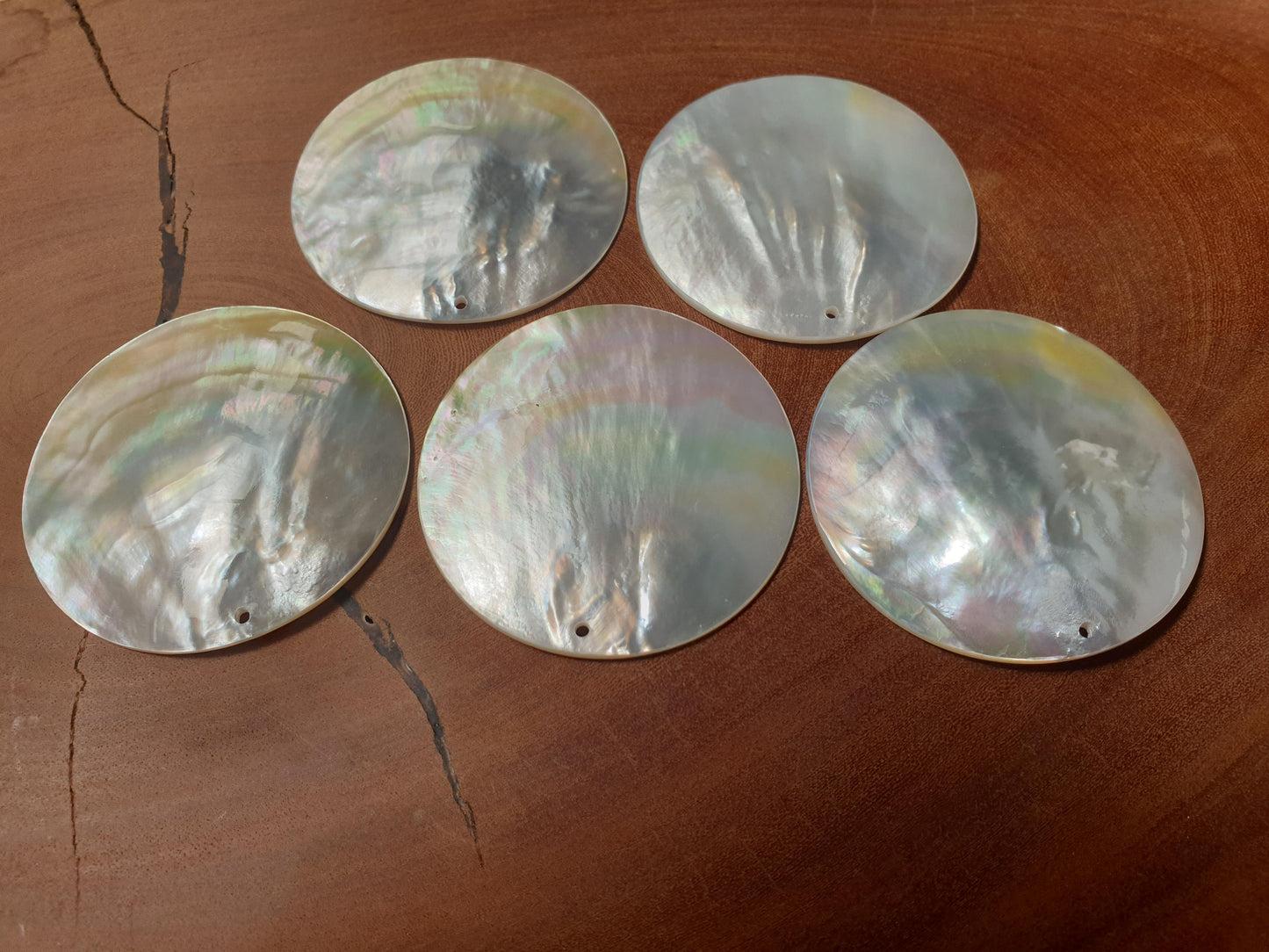 <p>Mother of Pearl polished discs 60mm. Natural curve.Made from top quality white Mother of Pearl shell.</p>