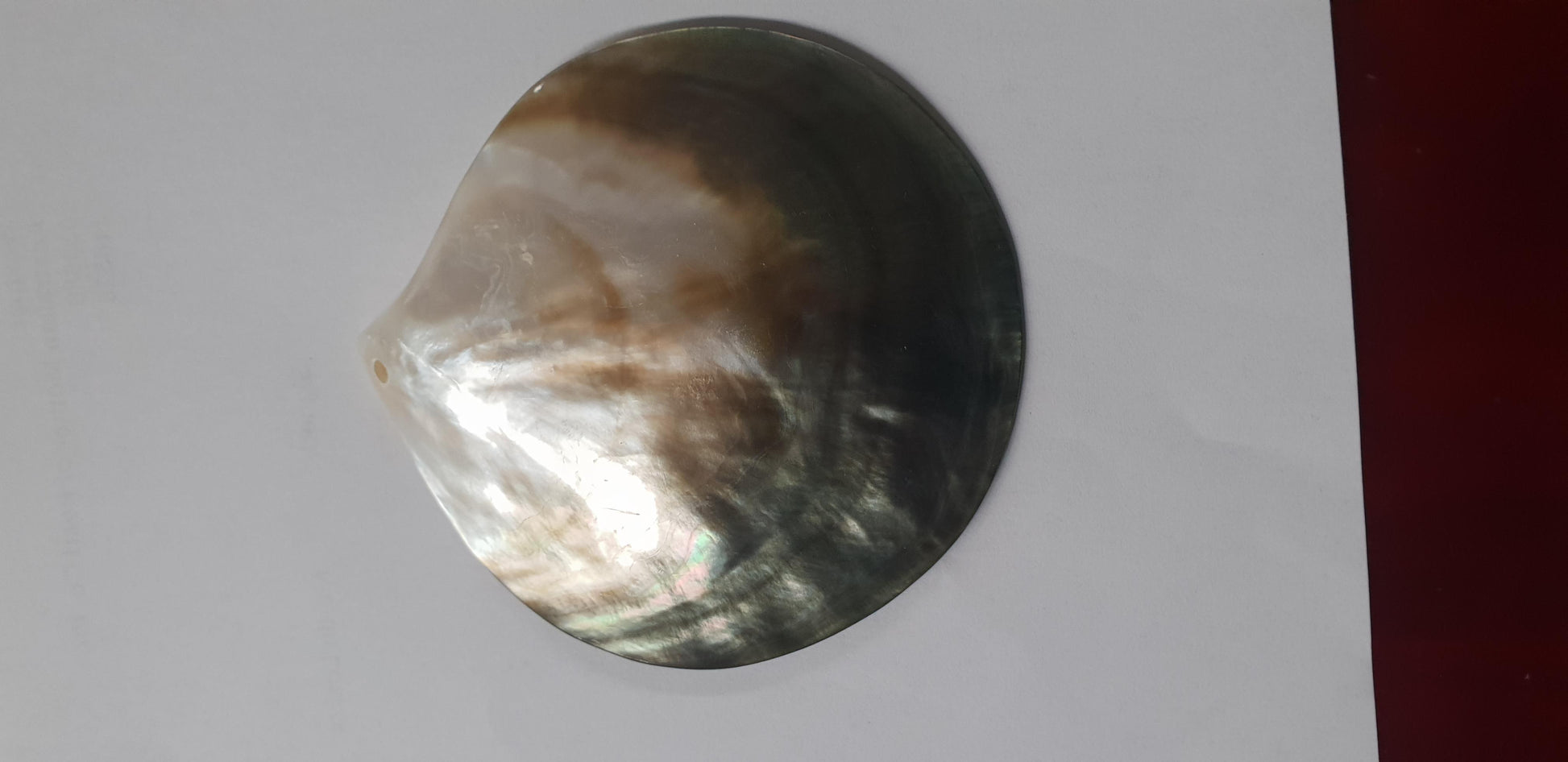 Black MOP polished shell pendant 70mm with hole.