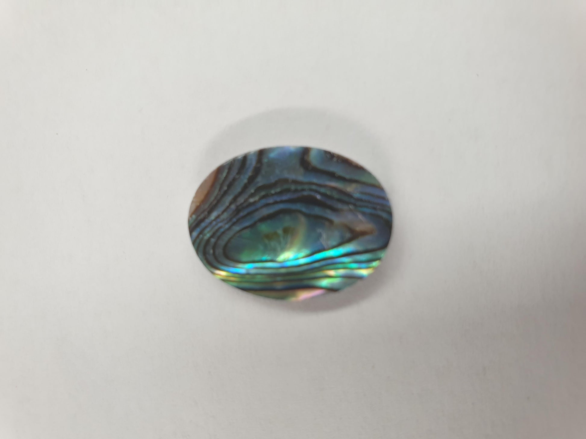 Green abalone oval cabochons 15mm (0.59") width x 20mm (0.79") length x 2mm (0.08") thickness. Polished 1 side. Mainly used for jewellery but also suitable for inlay or other decorative purposes.